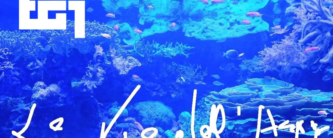 le-vie-dell-acqua